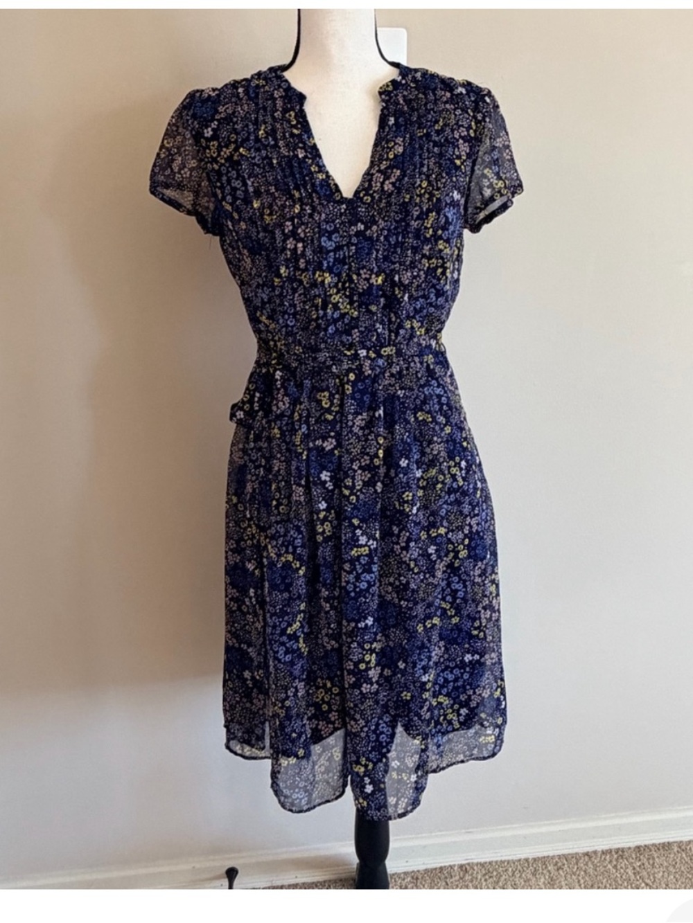 Chaus Floral Pintuck Dress